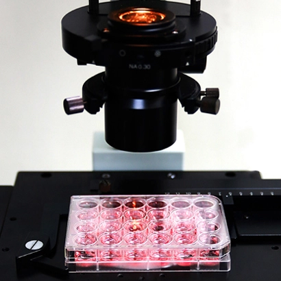 spl-cell-culture-plate-sterile-241