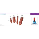 pip-amber-conical-tube-251